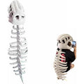 Dinosaur Skeleton Halloween Costume,Realistic Dinosaur Skeleton Costume Set,Skeleton Design Dinosaur Skull Outfit,Halloween PartyThemed Cosplay Props